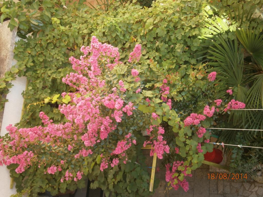 ראבץ Apartments Sea And Sun חדר תמונה