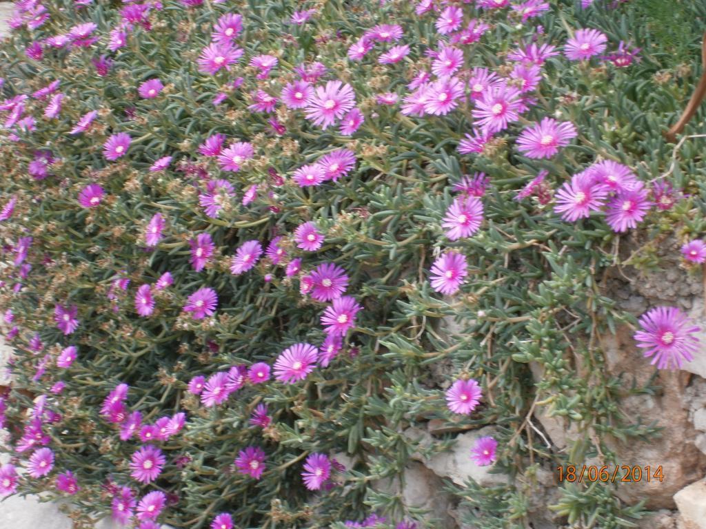 ראבץ Apartments Sea And Sun חדר תמונה